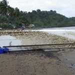 After drifting at sea for eight months, this WA -based vessel was washed up on an island beach near Madagascar.