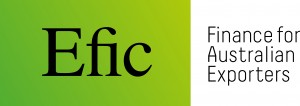 Efic Logo - MASTER_RGB_SPECIAL